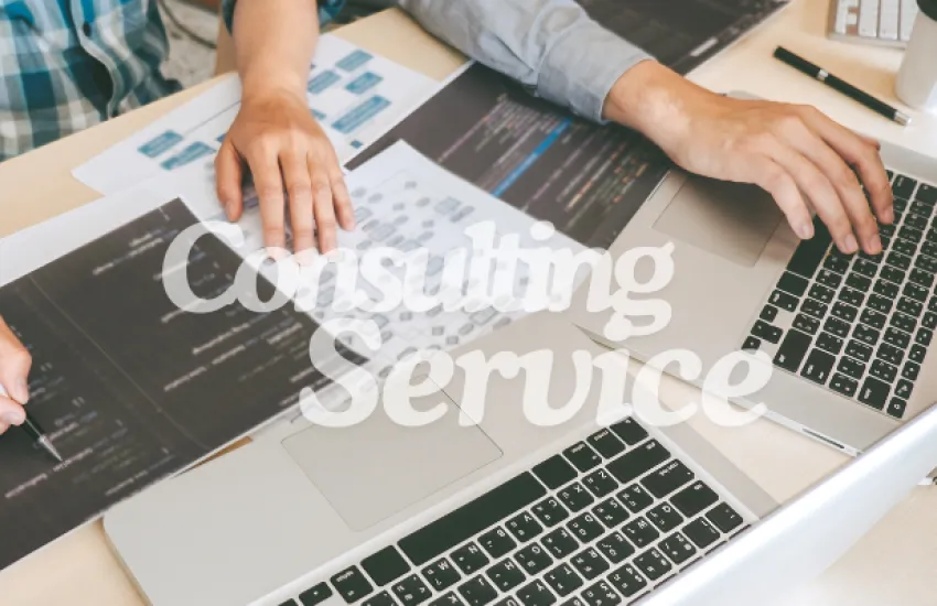 Consulting service