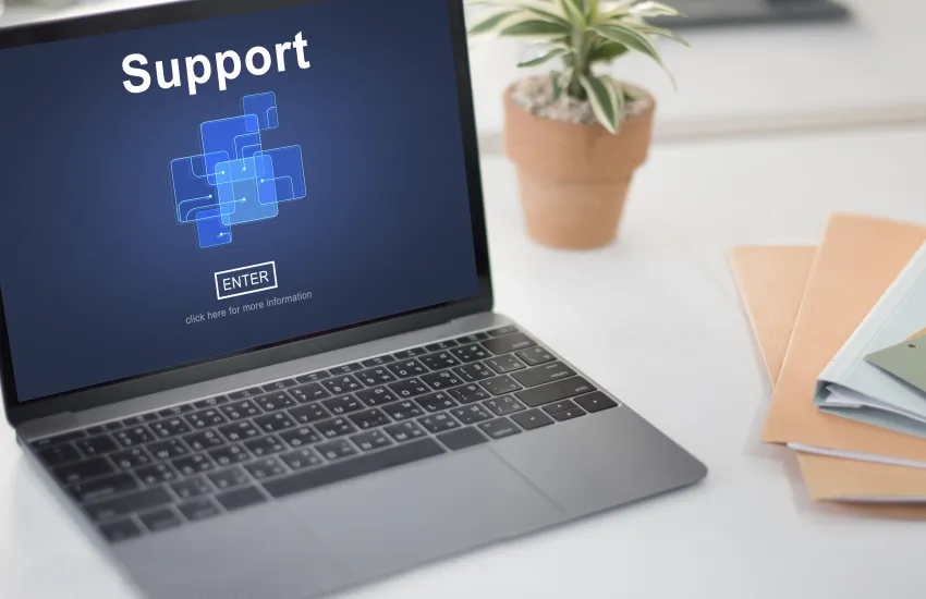 Maintenance and Support