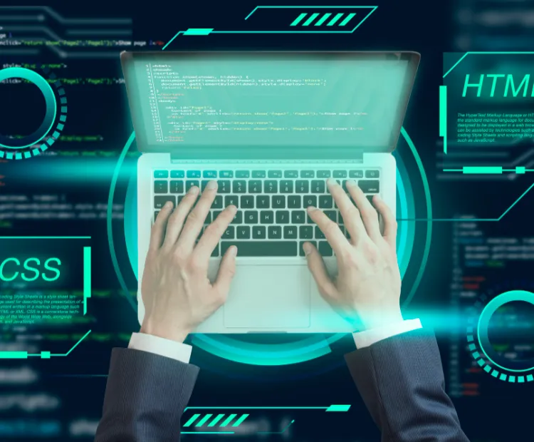 Custom Software Development