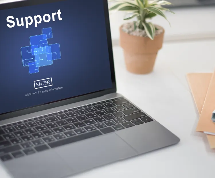 Maintenance and Support